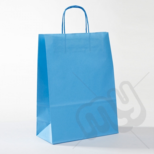 Blue Kraft Paper Bags with Twisted Handles - Large x 25pcs