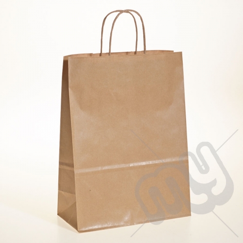 Brown Kraft Paper Bags with Twisted Handles - Large x 25pcs