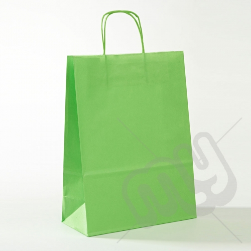 Green Kraft Paper Bags with Twisted Handles - Large x 25pcs