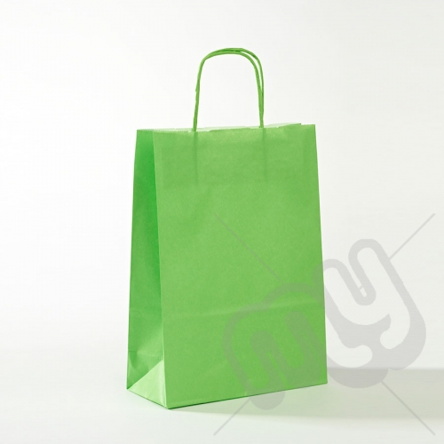 Green Kraft Paper Bags with Twisted Handles - Medium x 25pcs