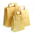 Brown Kraft SOS Carrier Bags With Flat Handles - LARGE x 250pcs