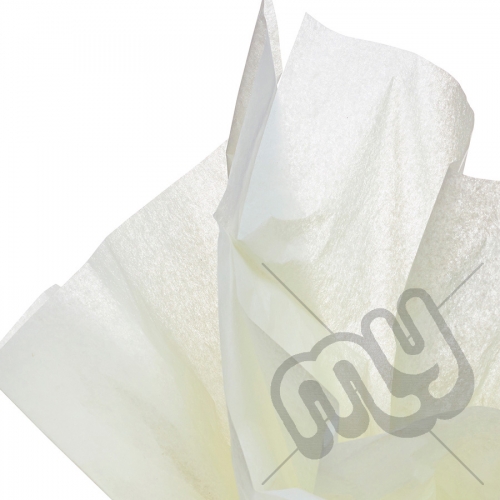 Ivory Tissue Paper - 6 Sheets